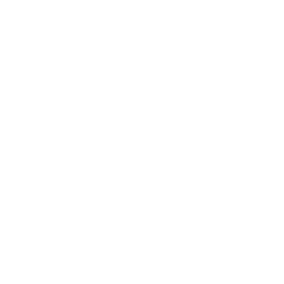 LSR_Logo2026_Valkoinen-320
